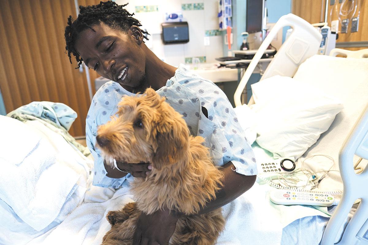 How Therapy Dogs Like Beacon Foster⁤ a Calm ‌Environment