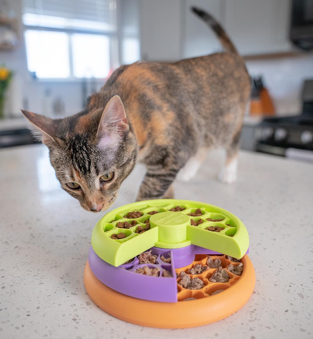 Choosing the Right Cat Food Toy: Materials and Designs That Attract Your Feline