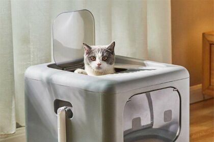 Cat Won’t Use Litter Box? Tips for Solving This Common Issue