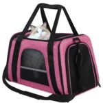 How to Get a Cat in a Carrier: Simple Tricks to Make It Easy