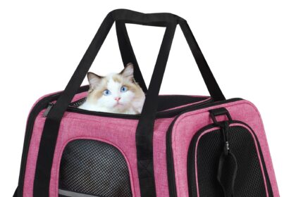 How to Get a Cat in a Carrier: Simple Tricks to Make It Easy