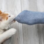 Why Does My Cat Bite My Feet? Understanding This Playful Habit