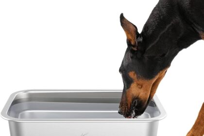 Outdoor Dog Bowls: Top Picks for Hydrating Your Pup Outside