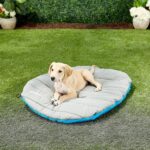 Travel Dog Bed Water: On-the-Go Comfort for Your Canine