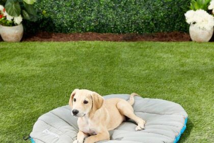 Travel Dog Bed Water: On-the-Go Comfort for Your Canine