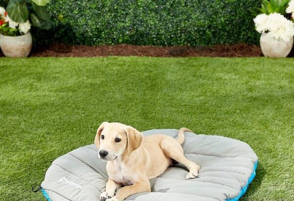 Travel Dog Bed Water: On-the-Go Comfort for Your Canine