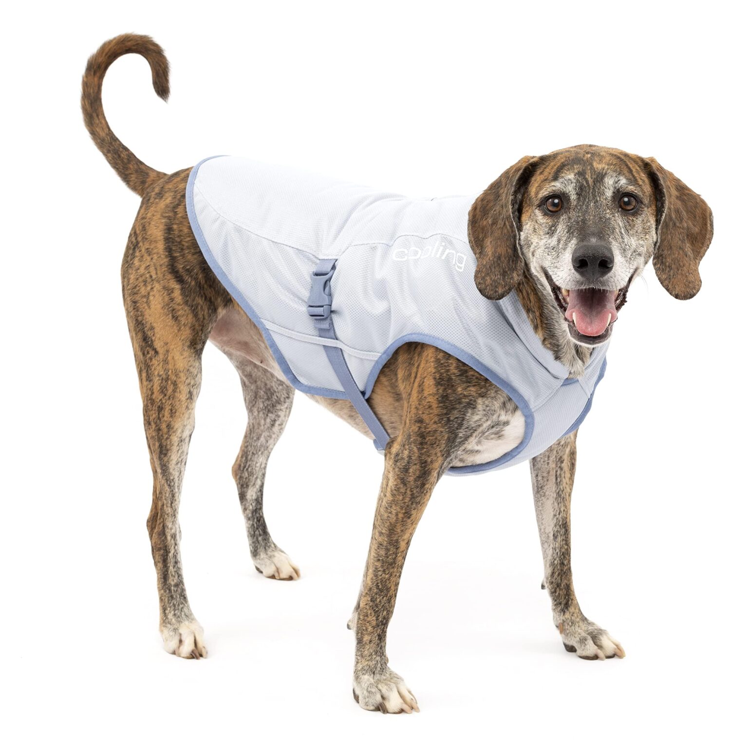 Find Best Dog Cooling Coat to Keep Your Pup Comfortable All Summer