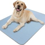 Play Outdoor Dog Chill Pad: The Perfect Spot for Sunny Adventures