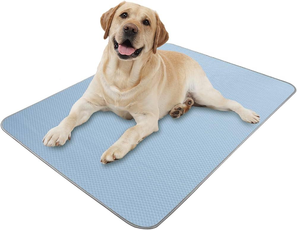 Play Outdoor Dog Chill Pad: The Perfect Spot for Sunny Adventures