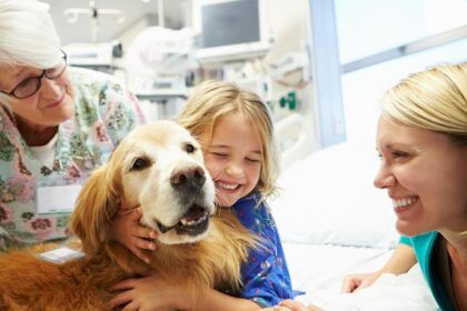 Beacon, the Therapy Dog Who Helped Gymnasts De-Stress at the Olympic Trials