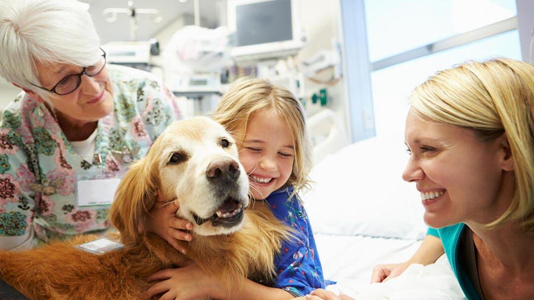 Beacon, the Therapy Dog Who Helped Gymnasts De-Stress at the Olympic Trials