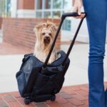 Travel Dog Carrier: Top Picks for Safe and Stylish Transport