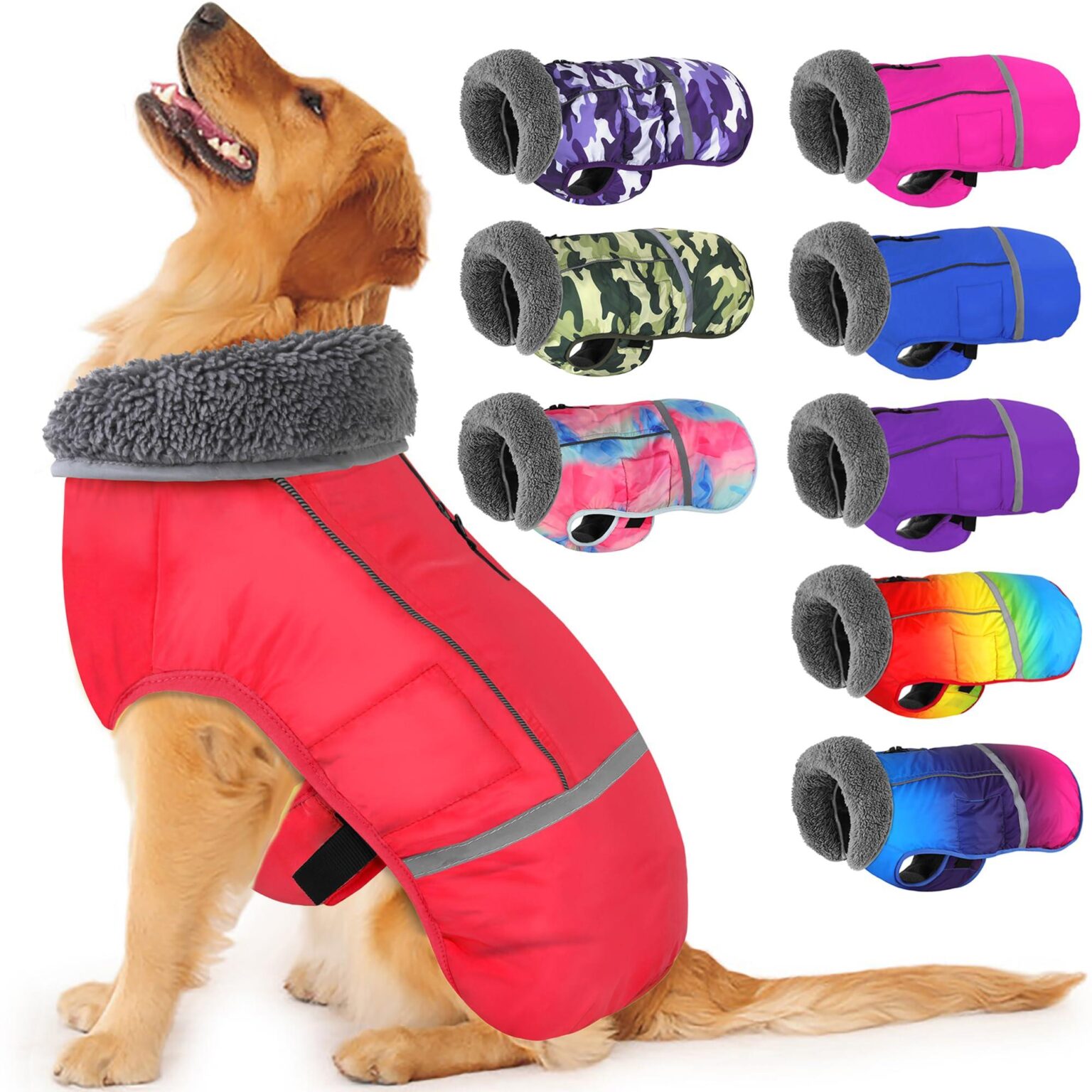 Best Coat for Dog: Keep Your Furry Friend Warm and Fashionable