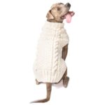 Best Sweater for Dog: Cozy Options for Every Pup