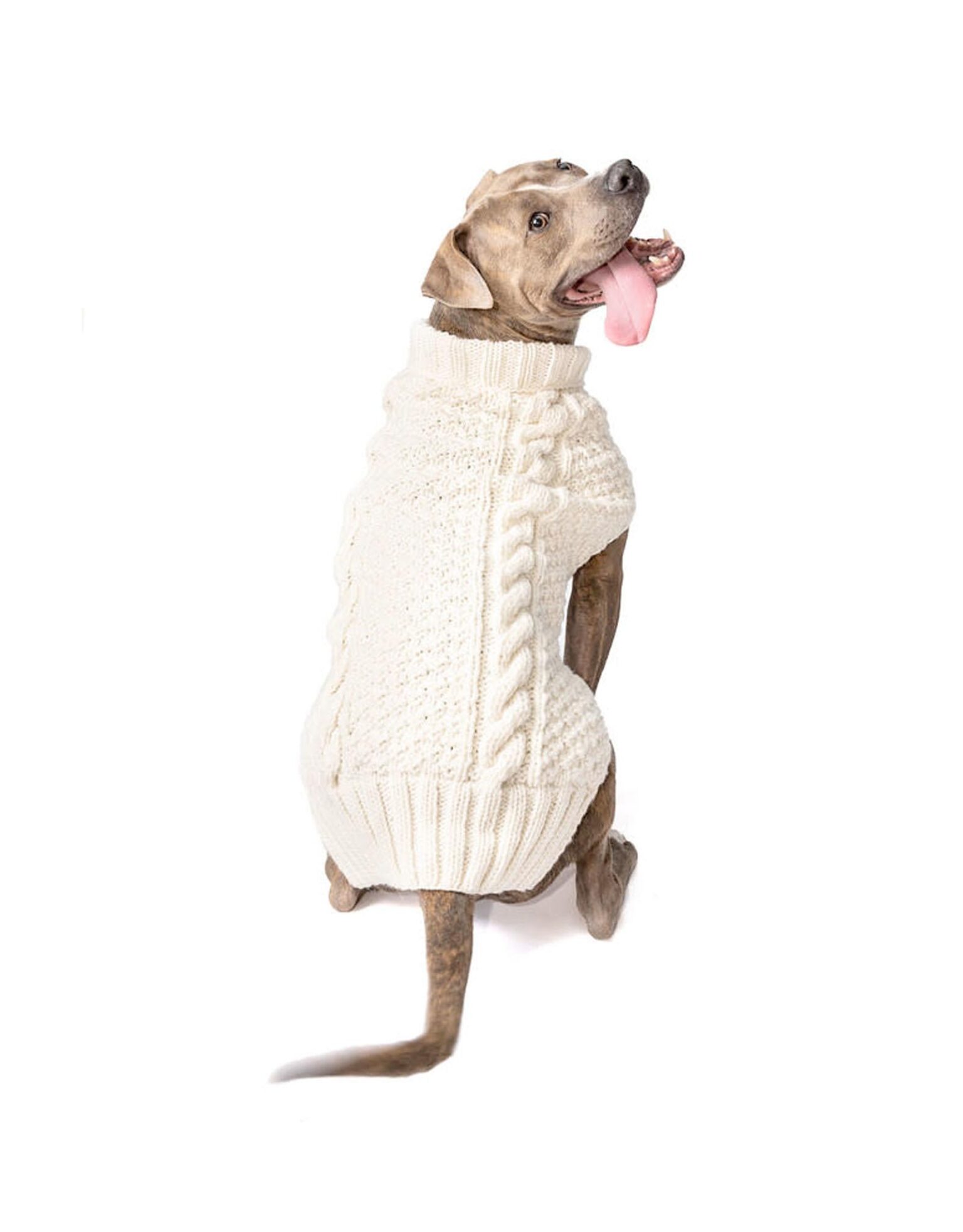 Best Sweater for Dog: Cozy Options for Every Pup