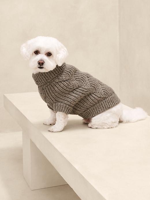 Stylish Designs​ That Keep Your Pup ‌Fashionable