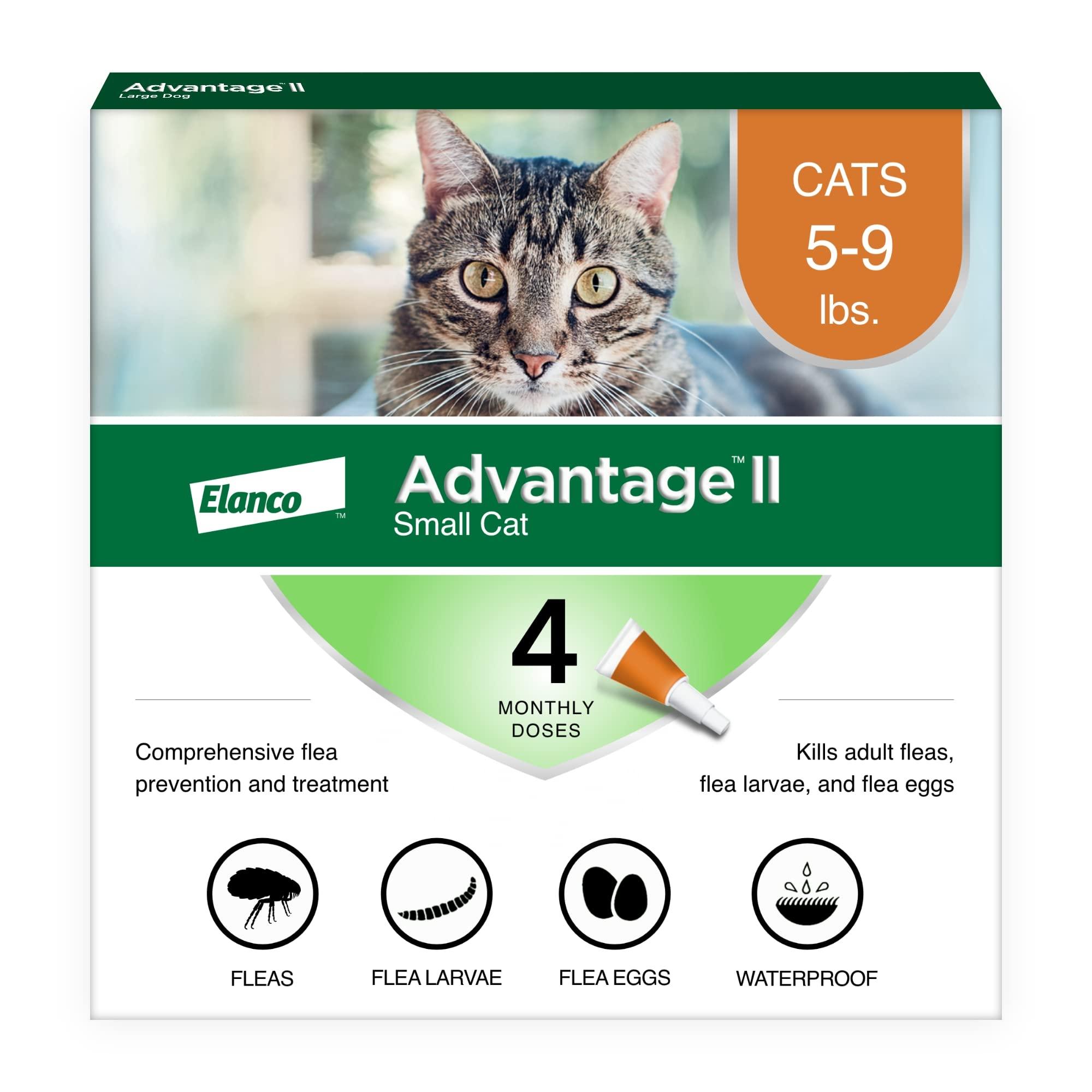 Preventative Measures for Safe Flea Treatment Administration