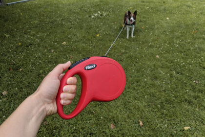 Are Retractable Leashes Bad