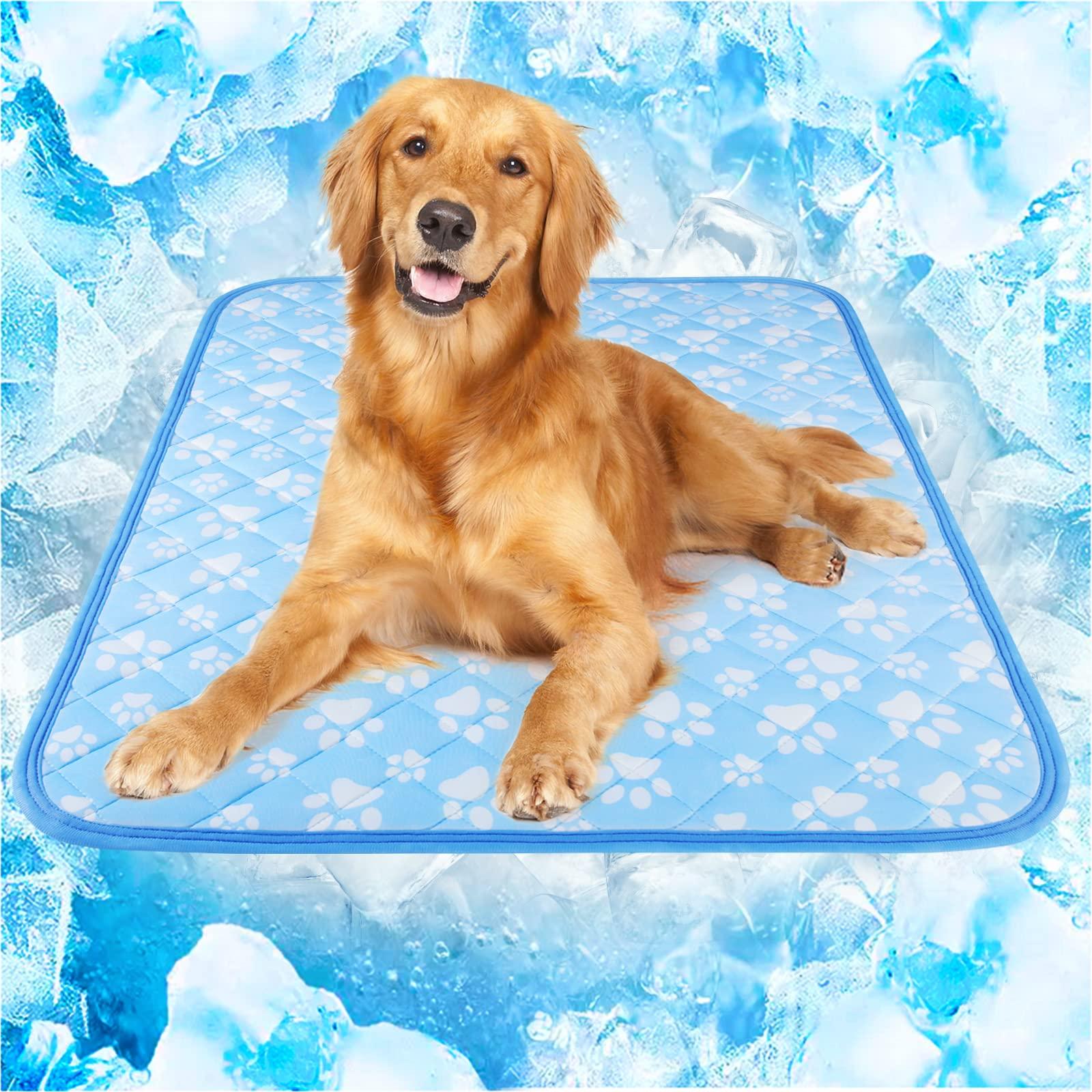 Discovering the Benefits of‌ Play⁤ Outdoor Dog Chill Pads