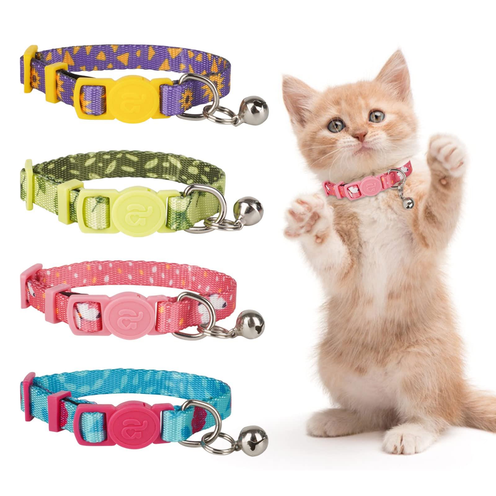 The Importance of Fit: Ensuring Your Kitten’s Collar is Just Right