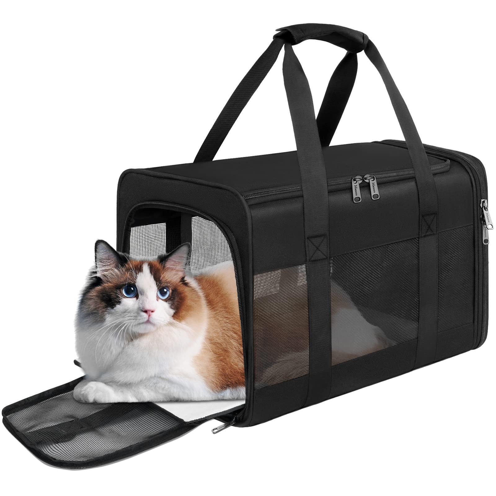 Preparing Your ‍Cat for Carrier Time