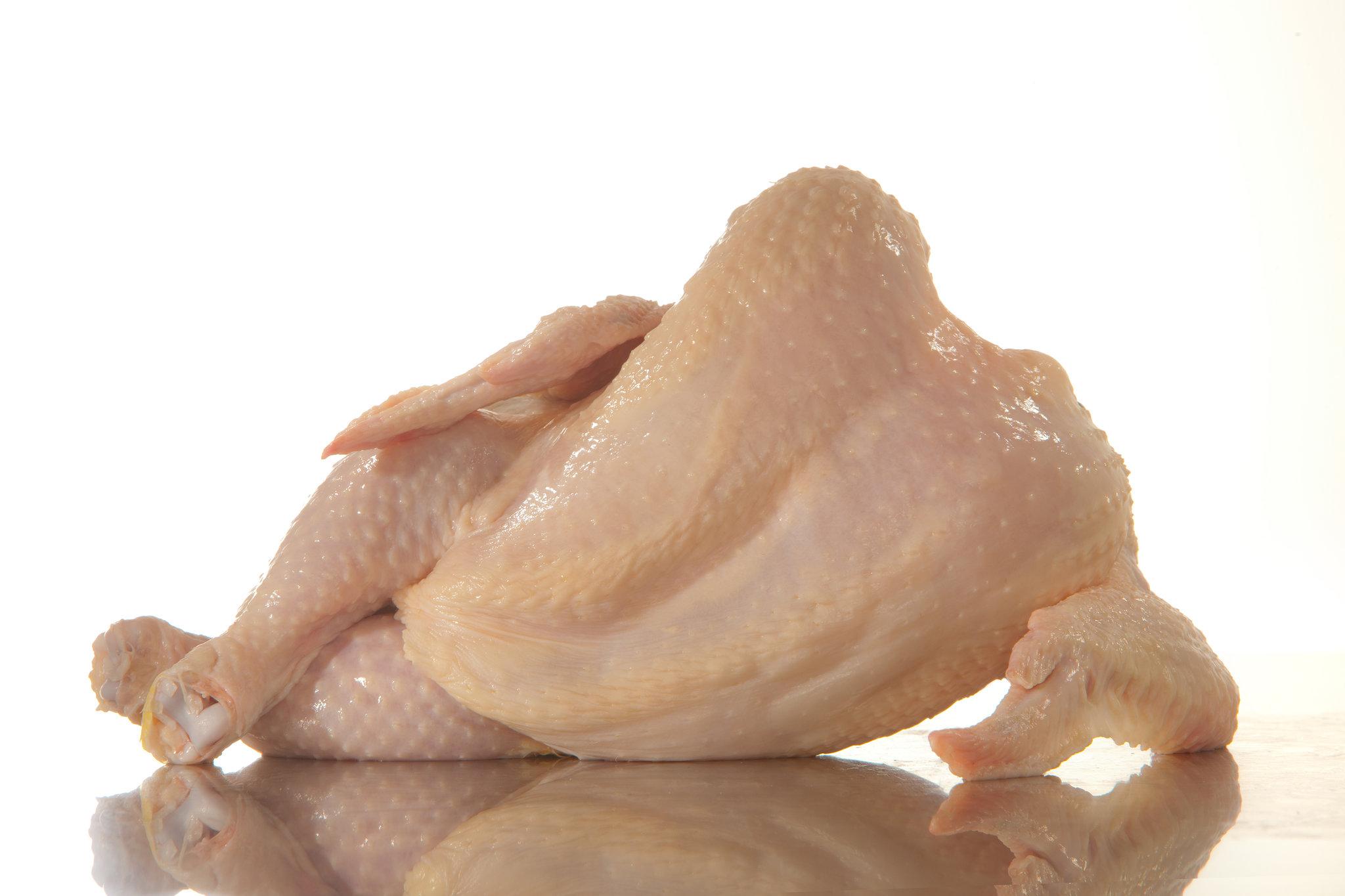 Nutritional⁣ Benefits of‌ Raw Chicken for Your Canine Companion