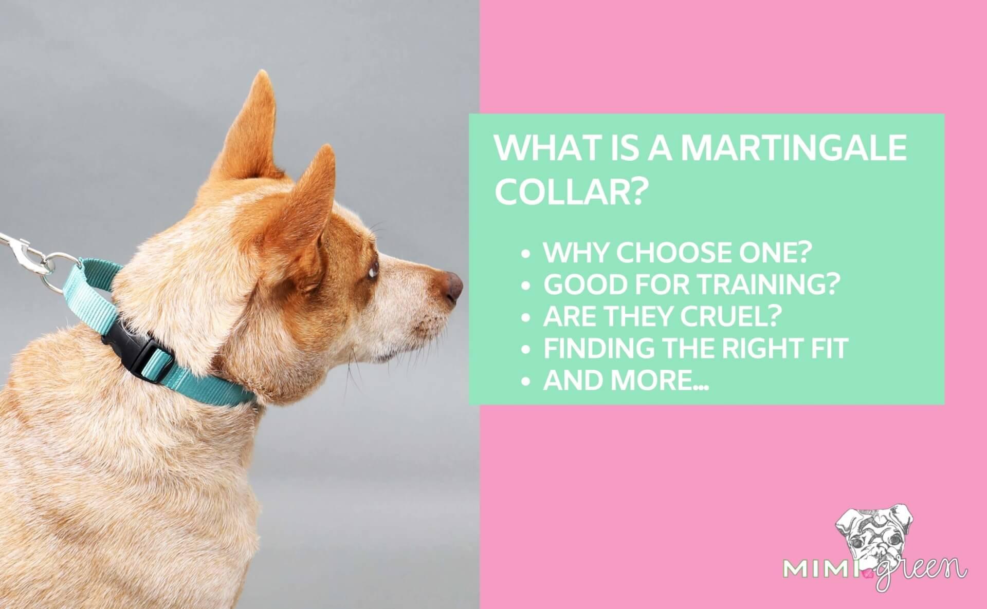 Recognizing Behavioral Changes After Collar Usage