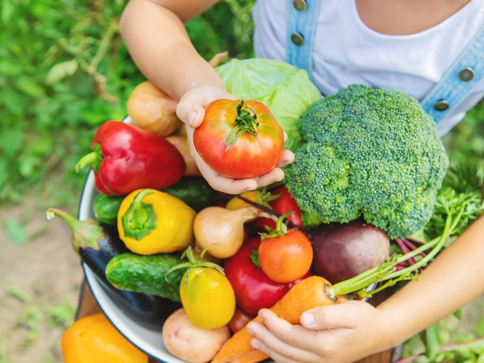 The Role of Fresh Vegetables in a Baby Bunnys Diet