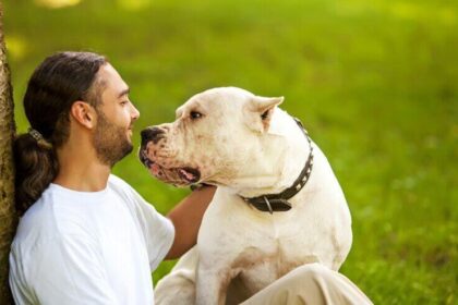 What Does It Mean When A Dog Sits On You