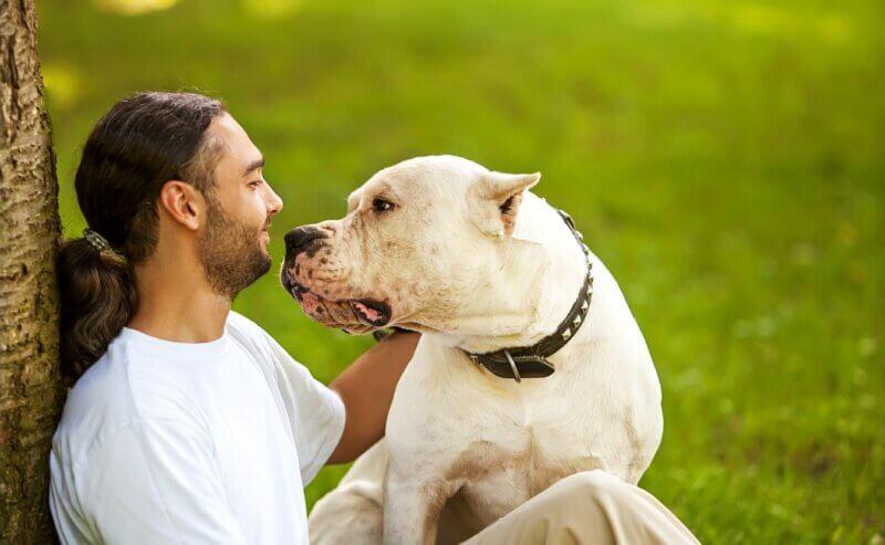 What Does It Mean When A Dog Sits On You