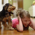 How To Stop A Dog From Pulling Its Hair Out: Tips for Healthy Fur