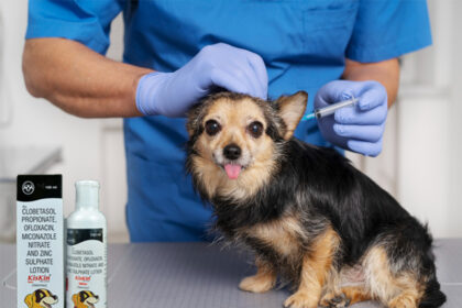 Is Clobetasol Propionate Safe For Dogs