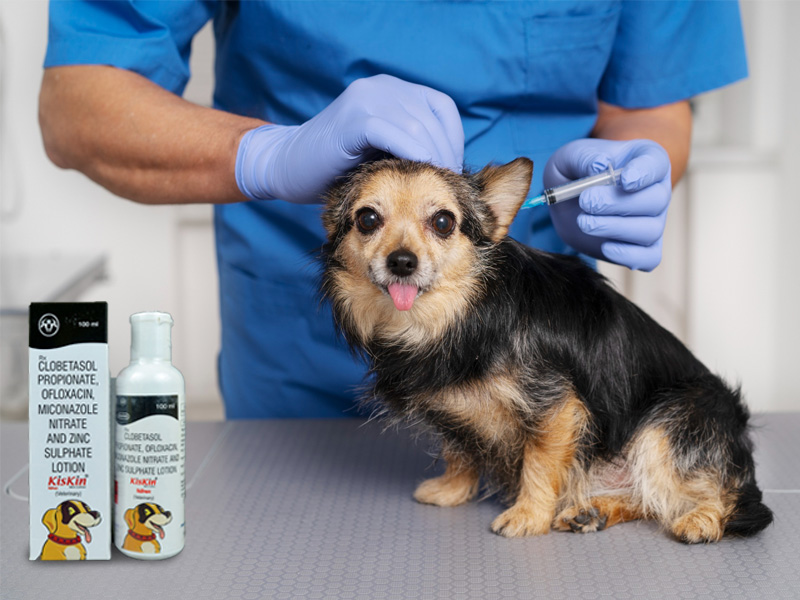 Is Clobetasol Propionate Safe For Dogs