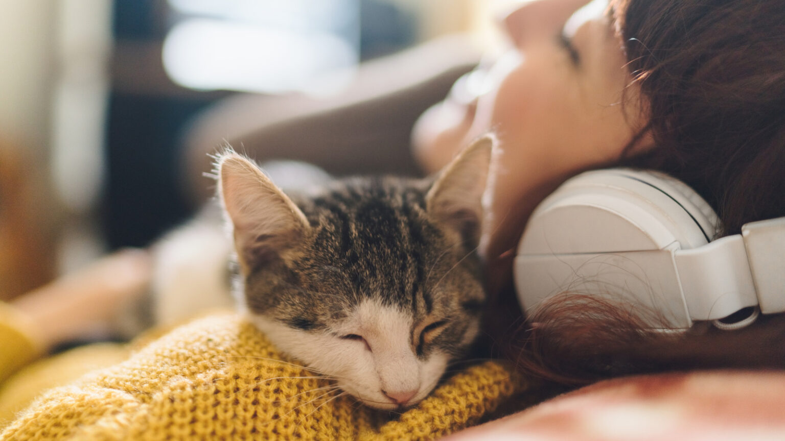 Why Do Cats Sleep On Your Neck And Face