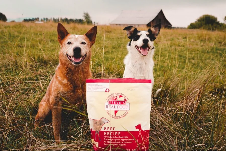 Beyond the Bowl: Go Raw Achieves B Corp Certification, Redefining Standards in the Pet Industry
