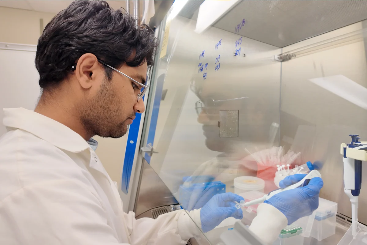 Decoding the Canine Gut-Brain Axis: WSU Student Paves the Way for Future Veterinary Breakthroughs