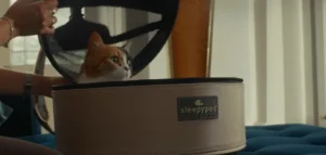 Elevating the Standard of Pet Safety: Sleepypod Unveils Comprehensive Rebrand Under Paw Prosper