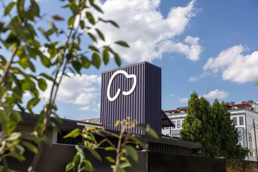 Skiptown Sets New Industry Benchmark: A Deep Dive into the Modernization of Pet Care