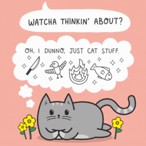 The Evolution of Feline Lifestyle: Meowingtons Signals Market Shift with Premium Organic Restocks and Content-Driven Commerce