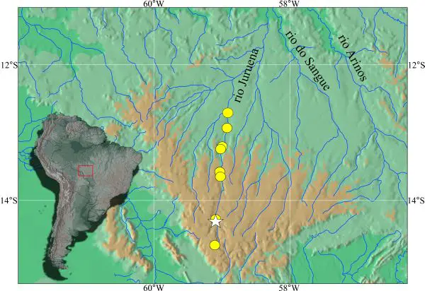Unveiling the Moenkhausia lineomaculata: A New Chapter in Neotropical Ichthyology