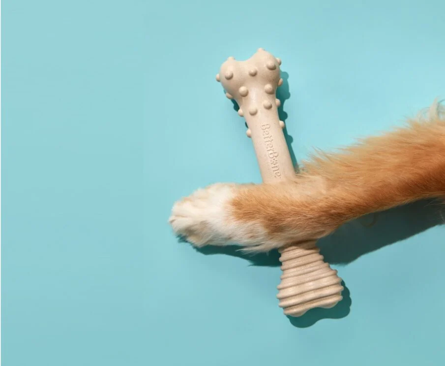 BetterBone Enters a New Era of Growth: Plant-Based Pet Chew Innovator Scales Up Following SUPERZOO 2026