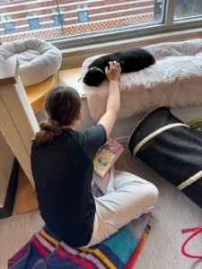 Beyond the Bookshelf: How Mutt-i-grees is Transforming Literacy Through Animal Companionship