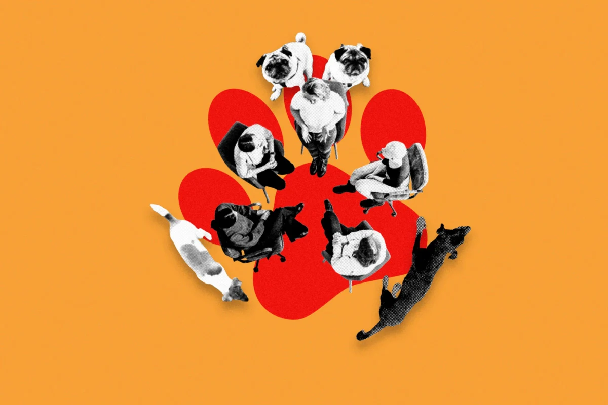 Breaking the Silence: Inside "Dogs Anonymous," the Support Group Helping Overwhelmed Owners Face the Guilt of Pet Ownership