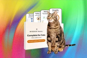 Decoding the Genetic Promise: A Comprehensive Guide to At-Home Pet DNA and Allergy Testing