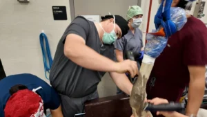 From the Farm to the Clinic: Allan Moulton’s Journey to Veterinary Excellence at WSU