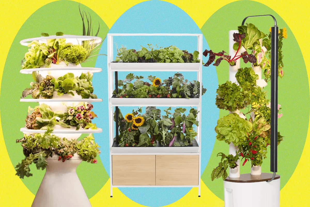 Navigating the Indoor Eden: A Comprehensive Review of Smart Gardens, Hydroponic Systems, and Countertop Growers