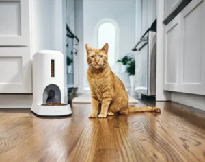 Purina’s Petivity Introduces AI-Powered Smart Feeder for Cats, Transforming Feline Healthcare Through Facial Recognition and Real-Time Data