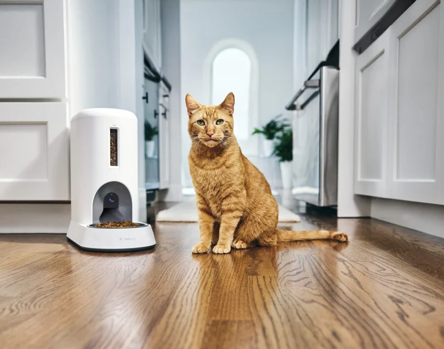 Purina’s Petivity Introduces AI-Powered Smart Feeder for Cats, Transforming Feline Healthcare Through Facial Recognition and Real-Time Data