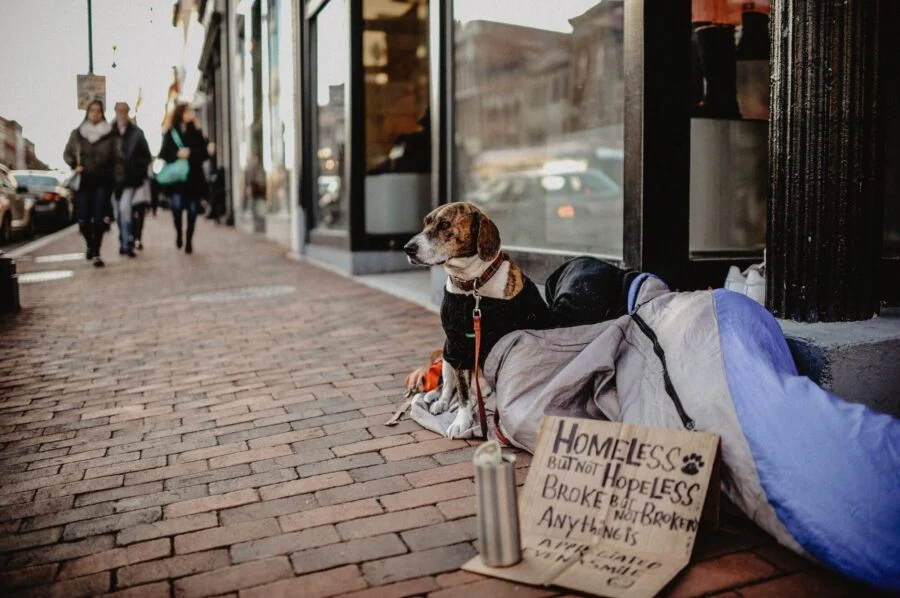 RedRover Awards Grants to Shelters Serving Domestic Abuse Survivors, Homeless People & Pets