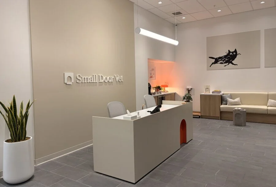 Small Door Veterinary Expands Greater Boston Footprint with New Cambridge Clinic, Marking First Launch Since Bond Vet Merger